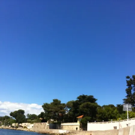 Les Palmiers Lejlighed