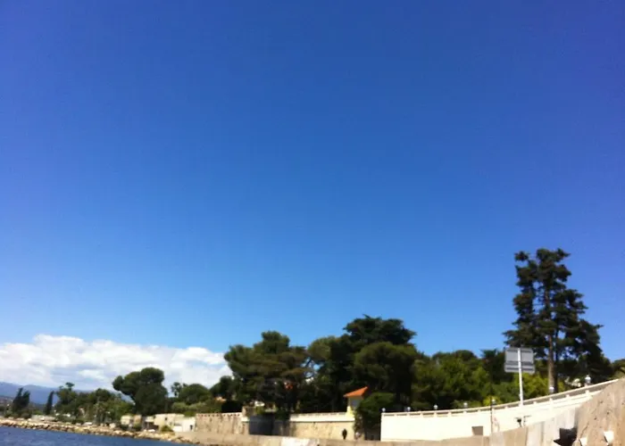 Les Palmiers Lejlighed